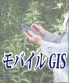 ���o�C��GIS